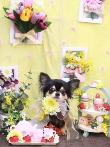 20230321アリューくん